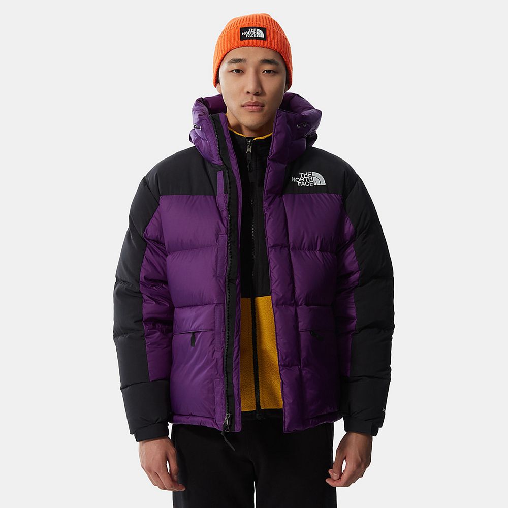 The North Face Puffer Jacket Mens Australia - The North Face Himalayan Purple (RYU-016743)